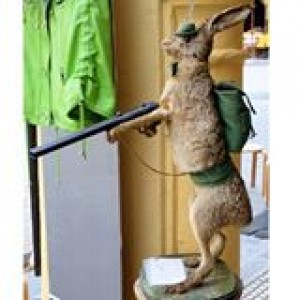 Soutien au lapin qui a tu un chasseur